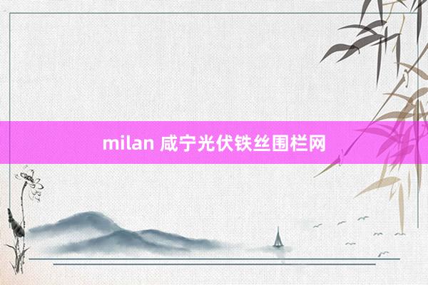 milan 咸宁光伏铁丝围栏网