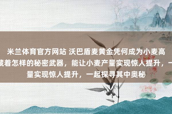 米兰体育官方网站 沃巴盾麦黄金凭何成为小麦高产密码？它究竟藏着怎样的秘密武器，能让小麦产量实现惊人提升，一起探寻其中奥秘
