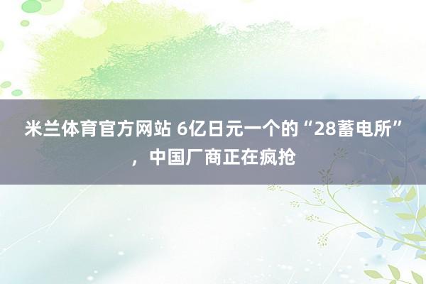 米兰体育官方网站 6亿日元一个的“28蓄电所”,中国厂商正在疯抢