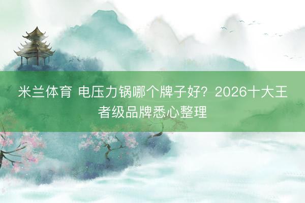 米兰体育 电压力锅哪个牌子好？2026十大王者级品牌悉心整理